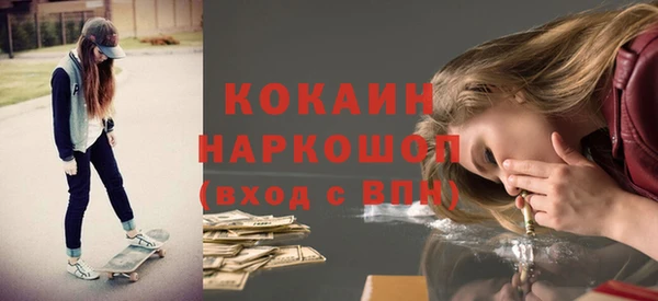стафф Елизово