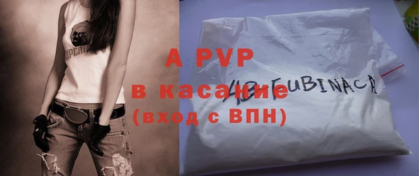 стафф Елизово