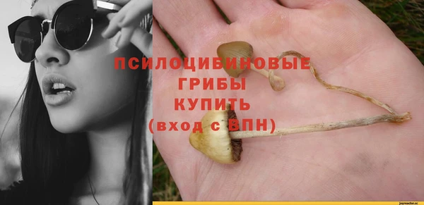 скорость Ельня