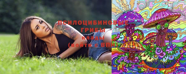бошки Елабуга