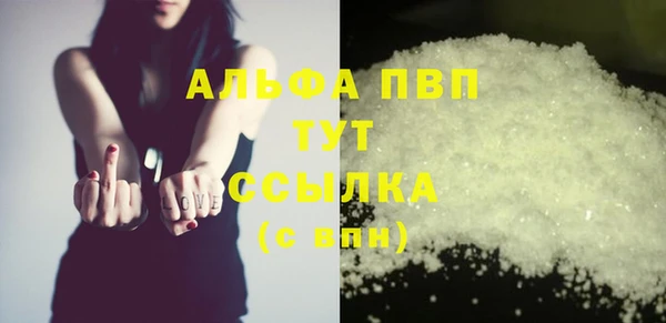 скорость Ельня