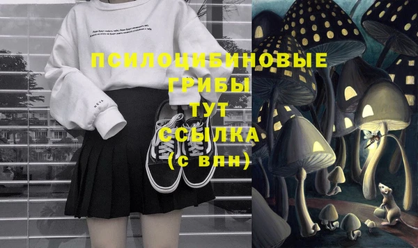 скорость Ельня