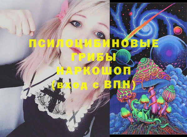 стафф Елизово