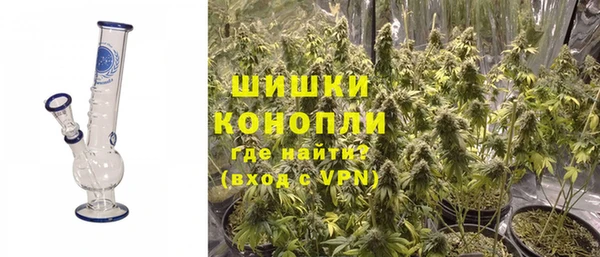 шишки Заволжск