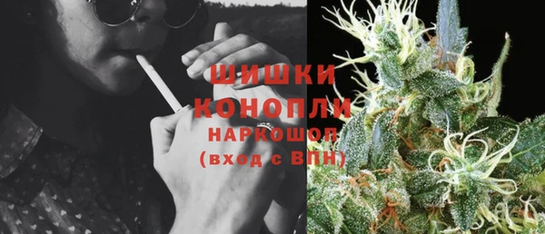 стафф Елизово
