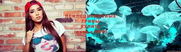 бошки Елабуга