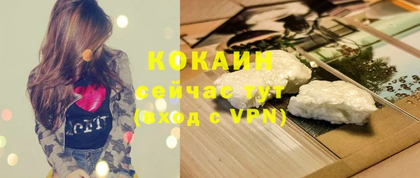 скорость Ельня