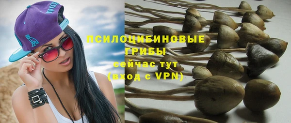 бошки Елабуга