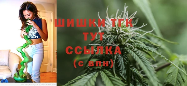 скорость Ельня